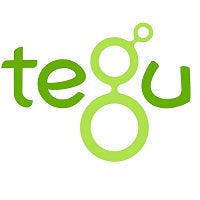 TEGU Magnetic Wooden series
