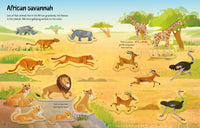 乌斯本第一张贴纸野生动物