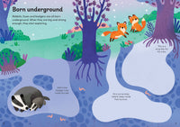 Usborne Little First Stickers Baby Animals
