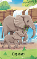 Usborne Zoo Snap