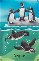 Usborne Zoo Snap