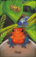 Usborne Zoo Snap