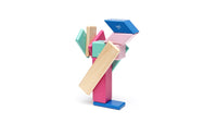 Tegu Magnetic Wood Blocks 14 Pieces - Blossom - Dreampiece Educational Store