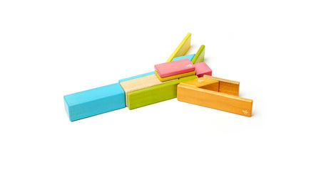 Tegu Magnetic Wood Blocks 14 Pieces - Tint - Dreampiece Educational Store
