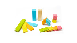 Tegu Magnetic Wood Blocks 14 Pieces - Tint - Dreampiece Educational Store
