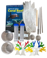 Queensland Museum Coral Reef Kit - Dreampiece Educational Store