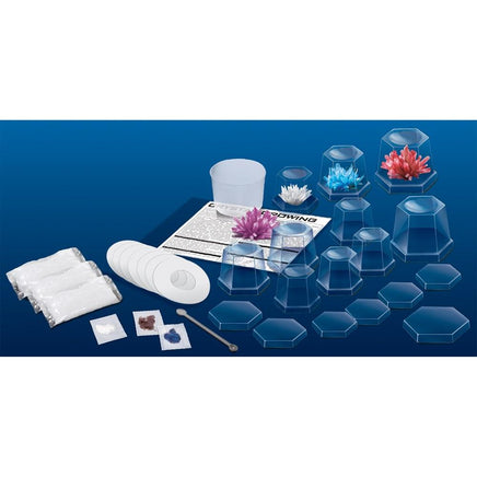 4M - Crystal Growing Kit (Large) - Dreampiece Educational Store