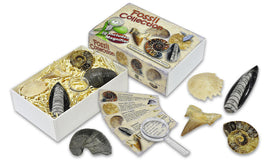 Fossil Collection Gift Box