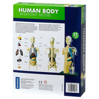 Thames & Kosmos - Human Body Anatomy Model Kit (37 pieces)