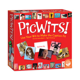 Mindware - Picwits