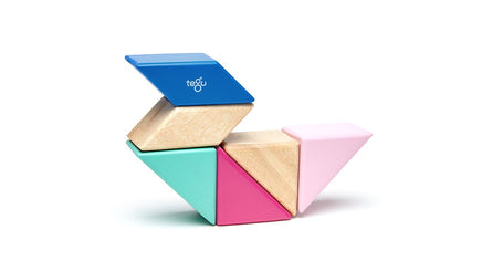 Tegu Magnetic Wood Blocks Pocket Pouch Prism- Blossom 6 pcs - Dreampiece Educational Store