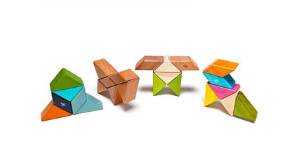 Tegu Magnetic Wood Blocks Pocket Pouch Prism- Tint 6 pcs - Dreampiece Educational Store