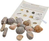 Kit de collecte de fossiles
